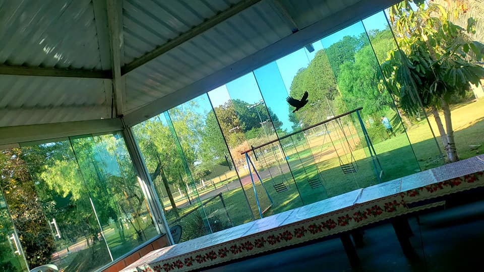 ChoppRampim ChoppRampim