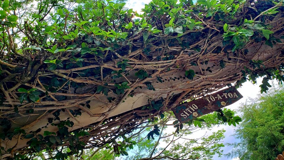 ChoppRampim ChoppRampim