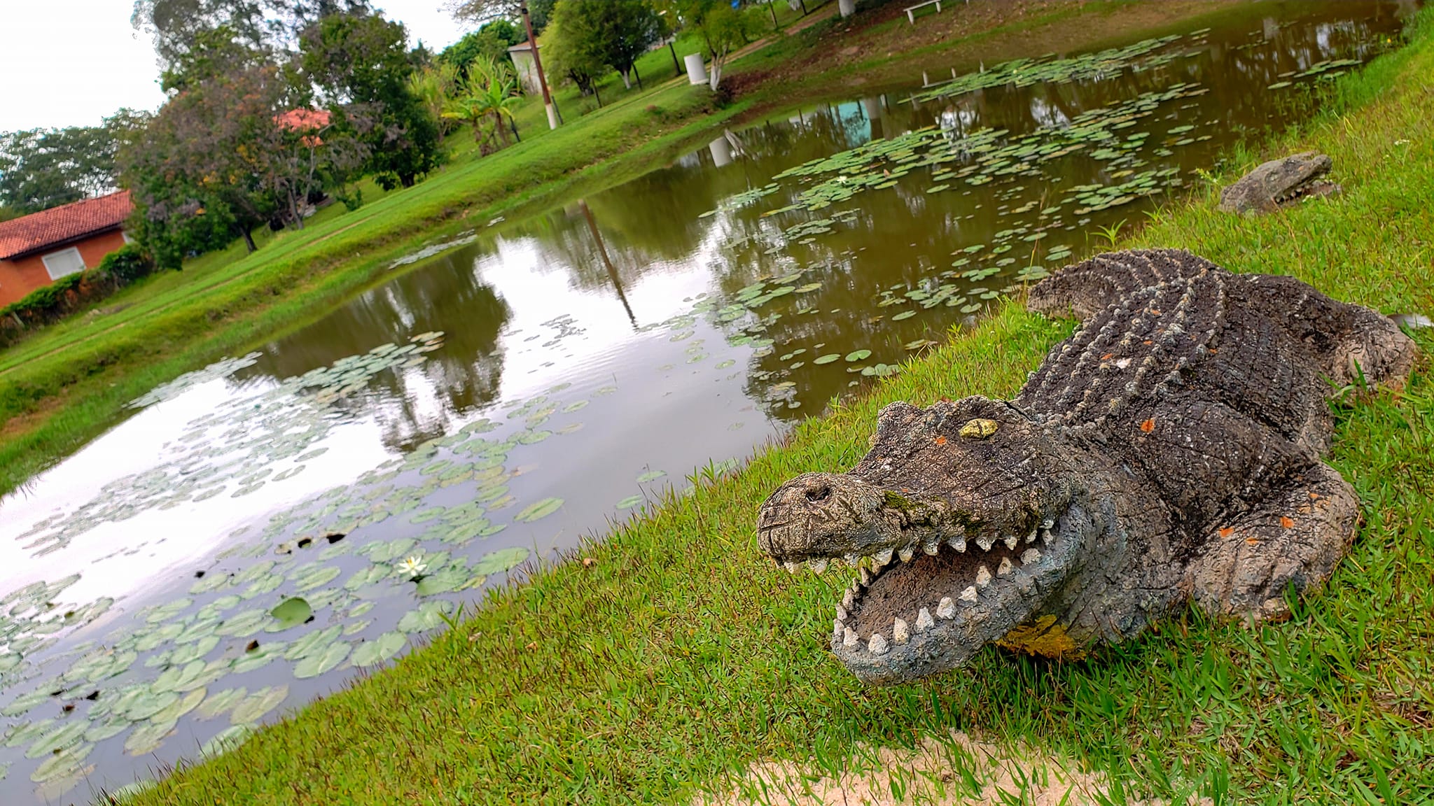 ChoppRampim ChoppRampim